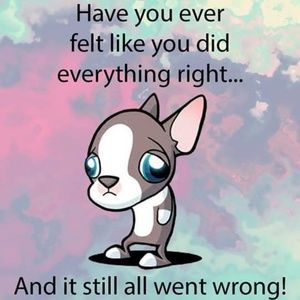 Meet your Posher, Donald